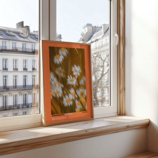 A soft focus poster titled &quot;Fleeting Love&quot; featuring daisy flowers with an orange frame, placed on a windowsill with Parisian buildings in the background.