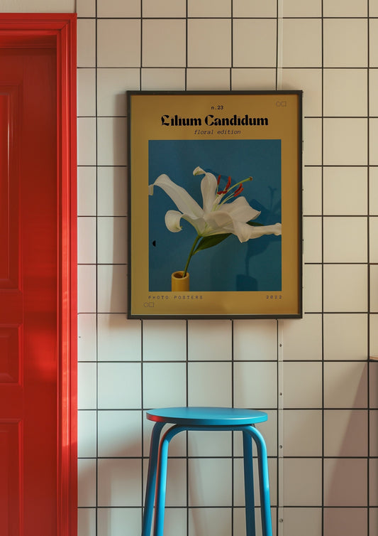 A beautifully framed Lilium Candidum poster in a modern setting, featuring a white lily against a blue background, perfect for adding a touch of vintage elegance to any space.